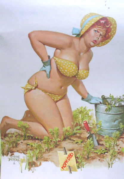 Морковь на грядке