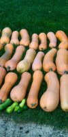 img_20151010_145008